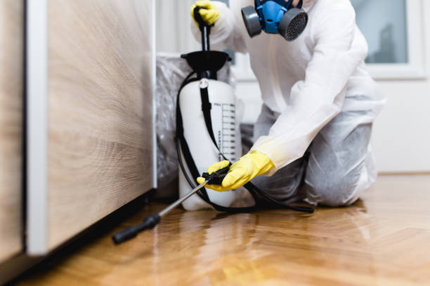 Best Wasp Removal Services  in Security Widefield, CO
