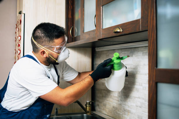Best Exterminator Services  in Security Widefield, CO