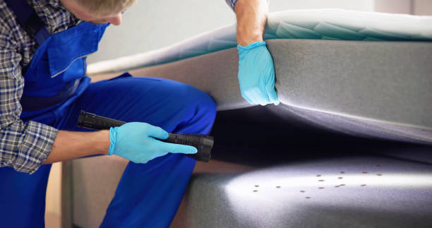 Best Affordable Pest Control Services  in Security Widefield, CO