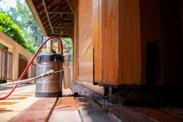 Best Mosquito Control Services  in Security Widefield, CO