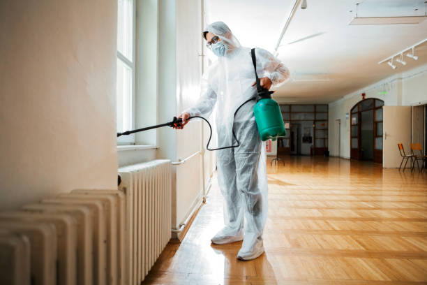Best Insect Control  in Security Widefield, CO