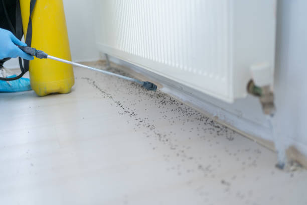  Security Widefield, CO Pest Control Pros